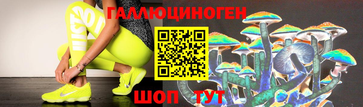 Галлюциногенные грибы MAGIC MUSHROOMS  Вход с VPN  Тосно 